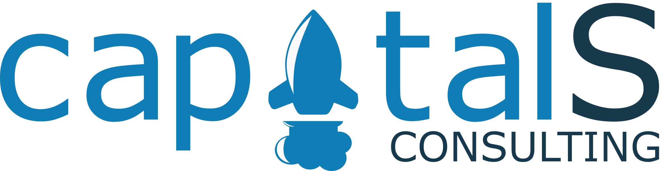 The Capital S Consulting Logo